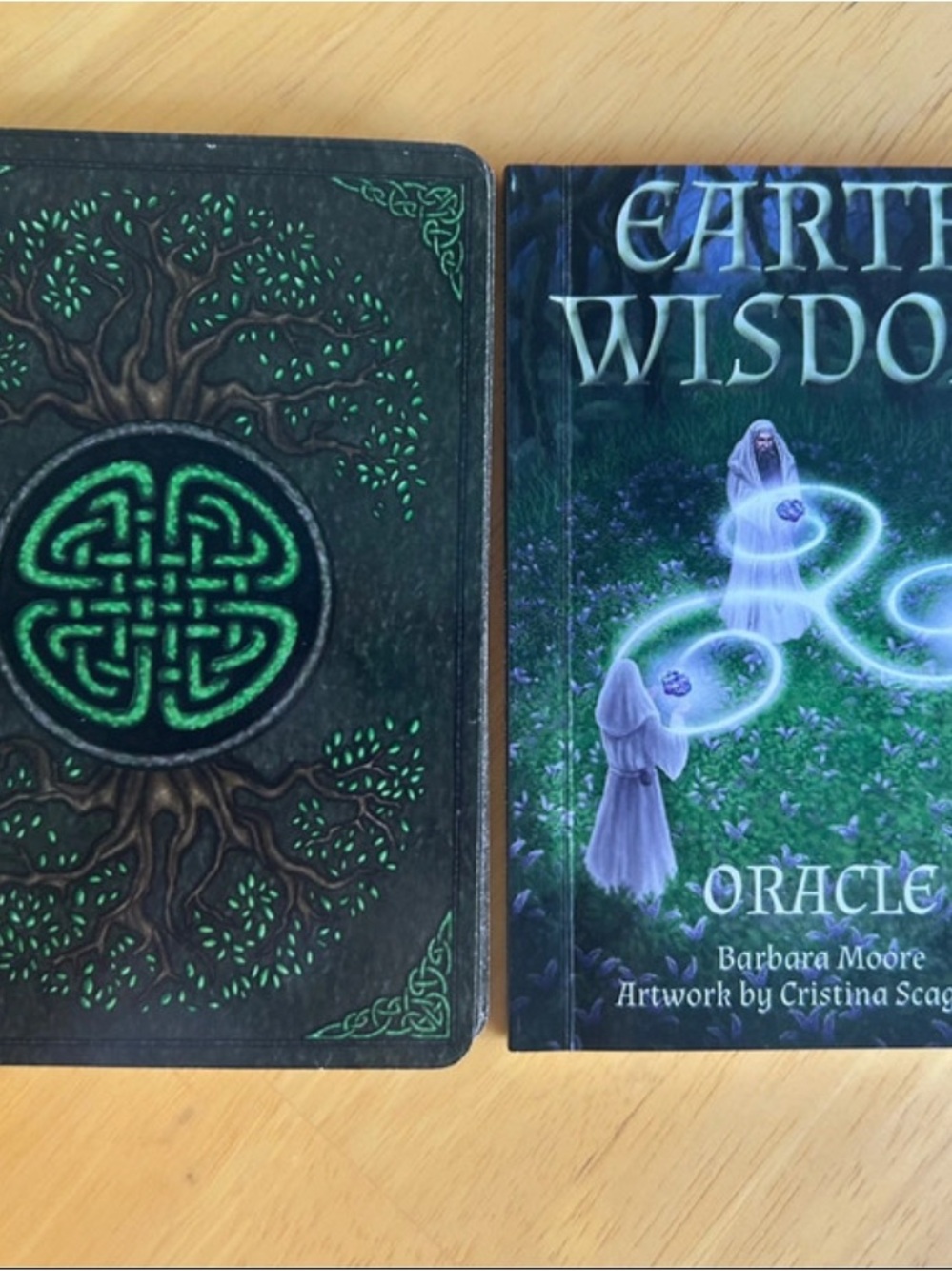 Earth Wisdom Oracle by Barbara Moore - Picture 2 of 5